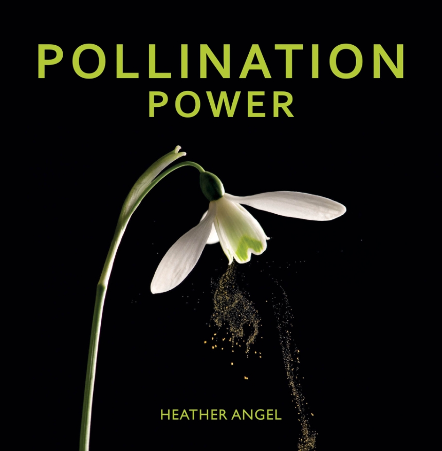 Pollination Power