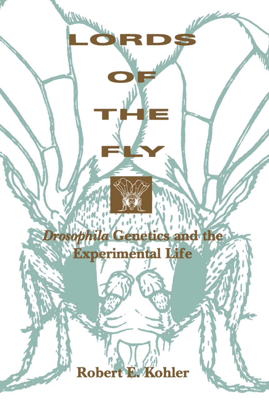 Lords of the Fly