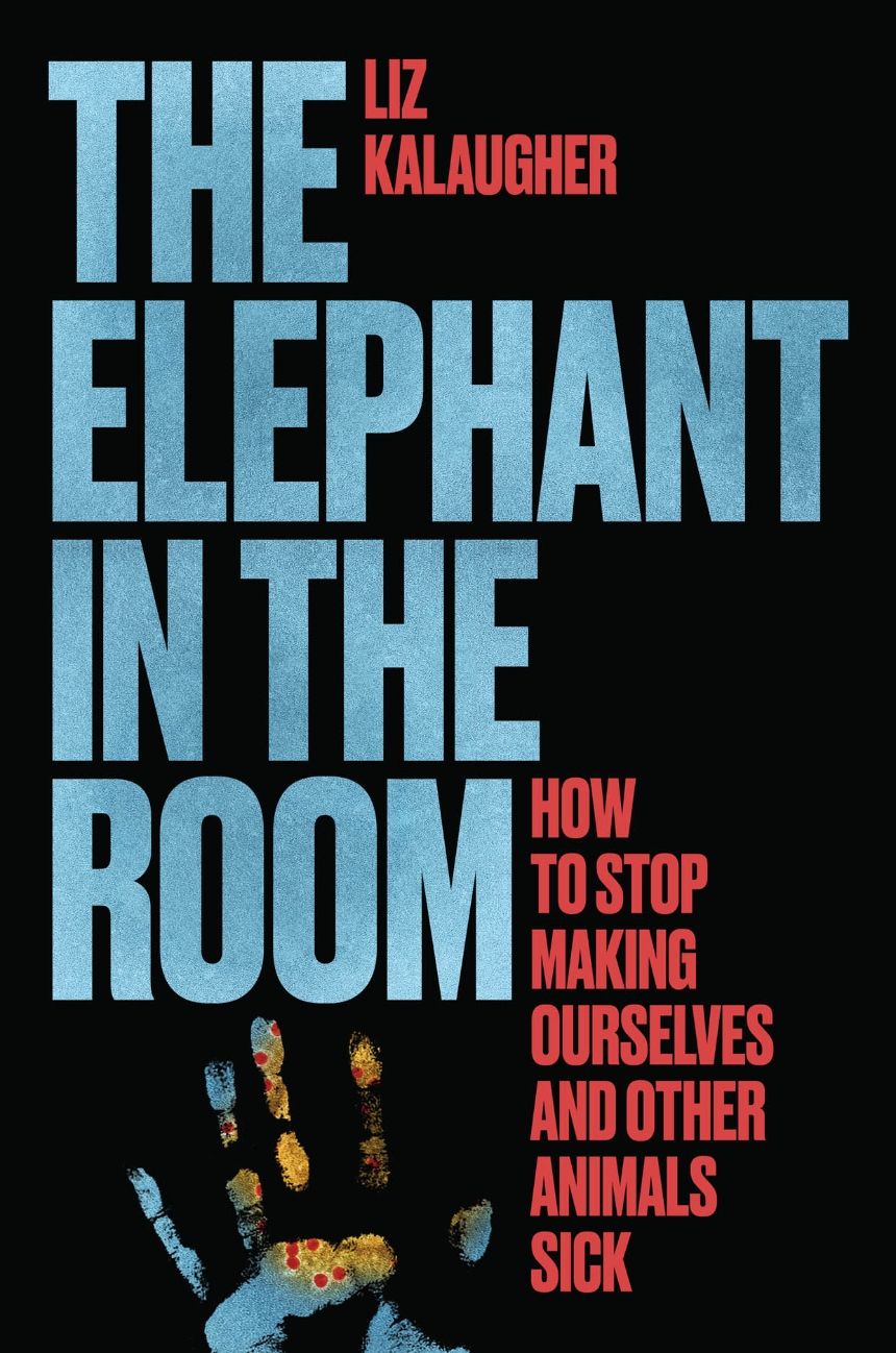 The Elephant in the Room