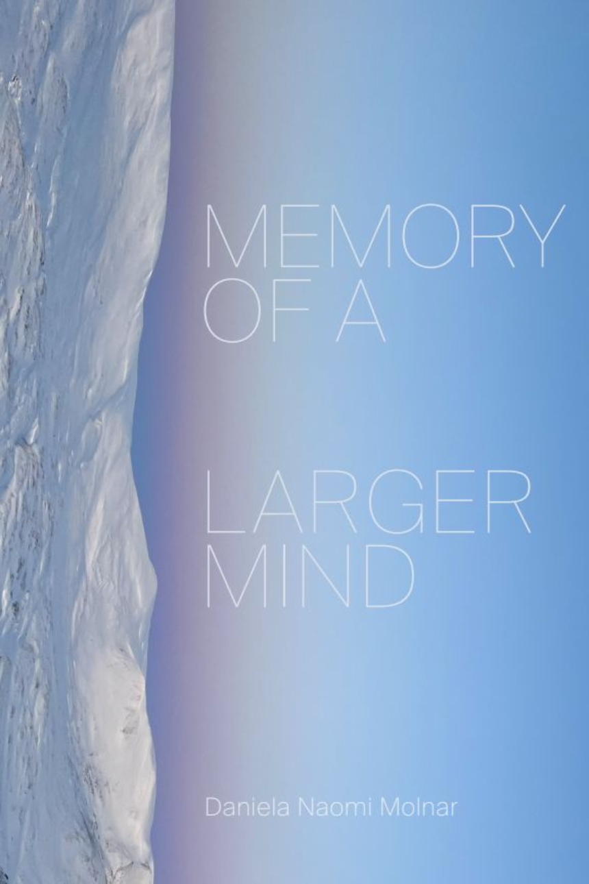 Memory of a Larger Mind