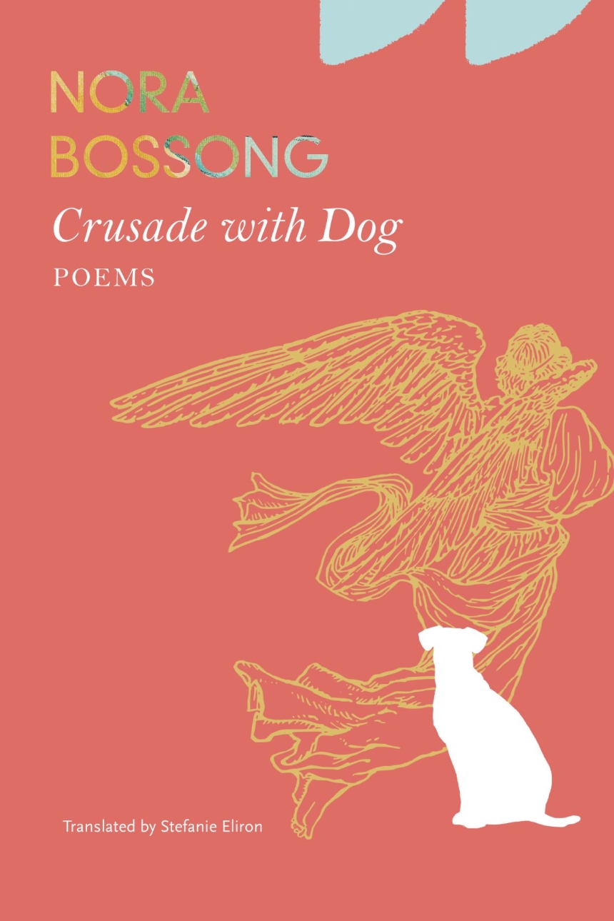 Crusade with Dog