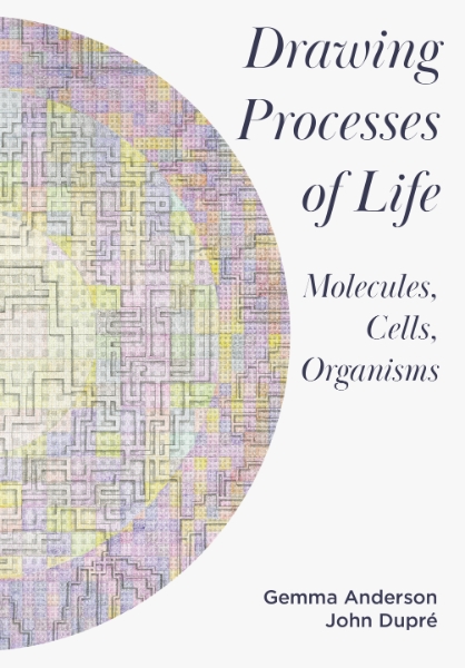 Drawing Processes of Life: Molecules, Cells, Organisms