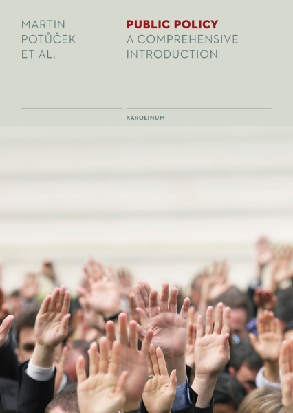 Public Policy: A Comprehensive Introduction