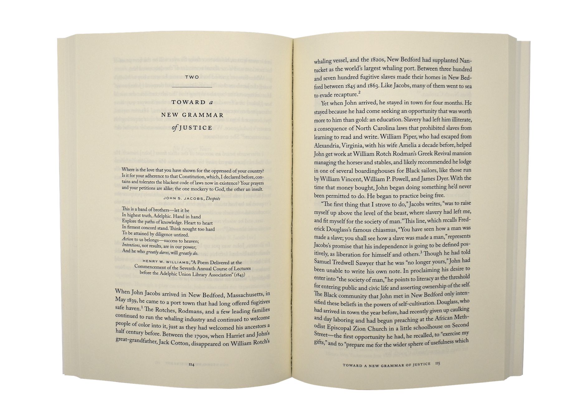 United States Governed by Six Hundred Thousand Despots 03 - click to open lightbox