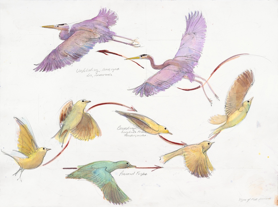 Mechanics of Bird Flight